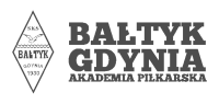 Logo firmy